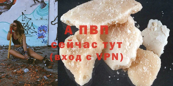гашик Шали