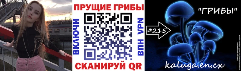 где продают наркотики  Вилюйск  маркетплейс наркотические препараты  Псилоцибиновые грибы ЛСД 